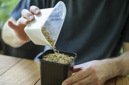 How to grow cactus plants from seed?