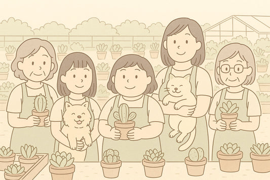 About Us – Chic Chic Plants