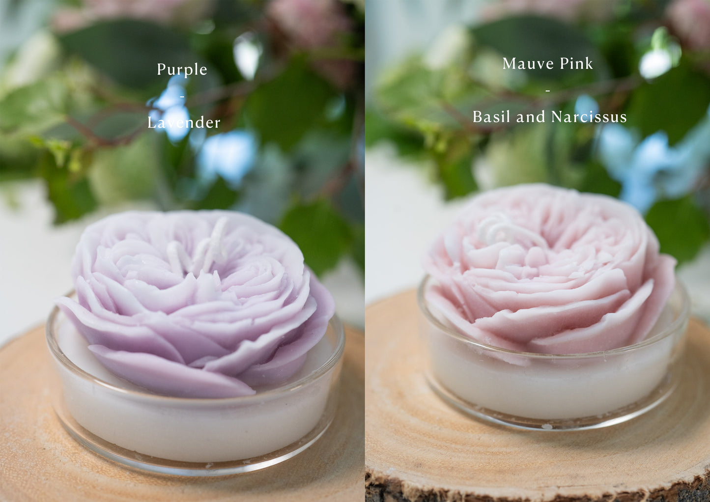 David Austin Rose Candles, Handmade Scented Soy Wax Candles, Home Fragrance, Homewarming Gifts