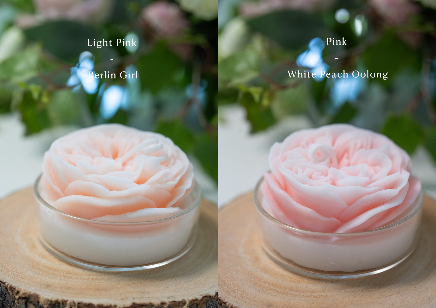 David Austin Rose Candles, Handmade Scented Soy Wax Candles, Home Fragrance, Homewarming Gifts