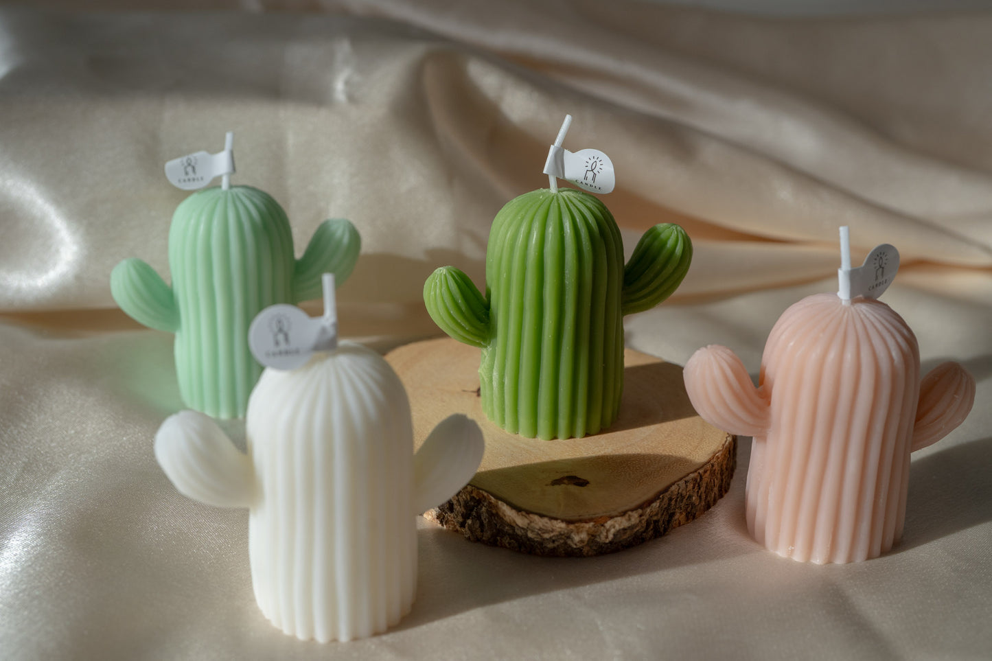 Cactus Shaped Scented Candles, Handmade Soy Wax Candles