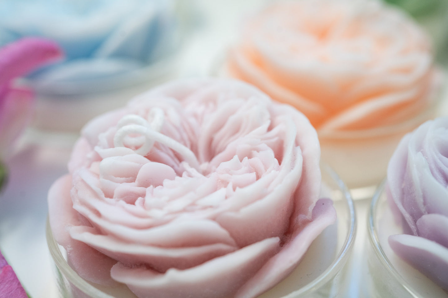 David Austin Rose Candles, Handmade Scented Soy Wax Candles, Home Fragrance, Homewarming Gifts