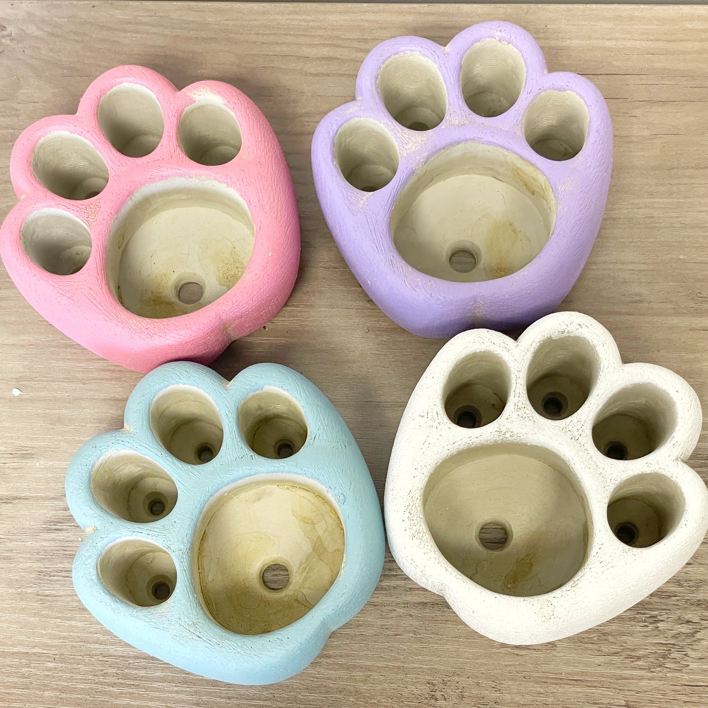 Living Stones Succulents Kit with Paw Pot - 0