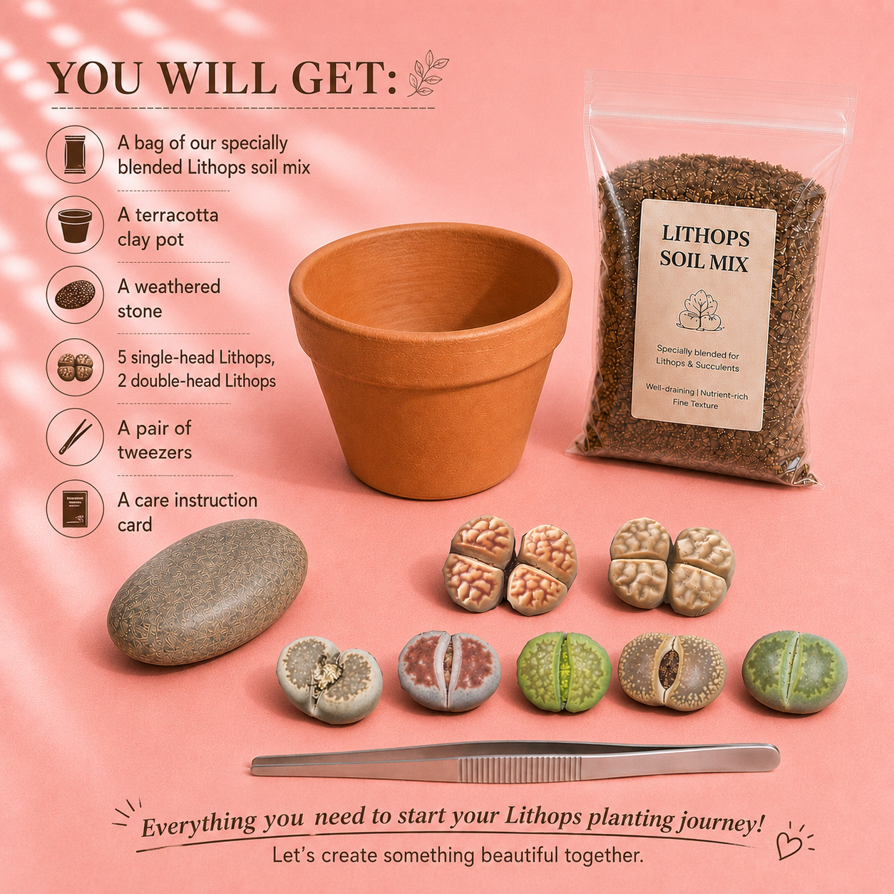 Living Stone New Starter Kit - with 1 Bag of Lithops Soil, 5 Single-Head Lithops, 2 Double-Head Lithops, 1 Terracotta pot, 1 Tweezers Tool - Succulents, Cactus, Gift for Kids, Gift for Succulents Lovers