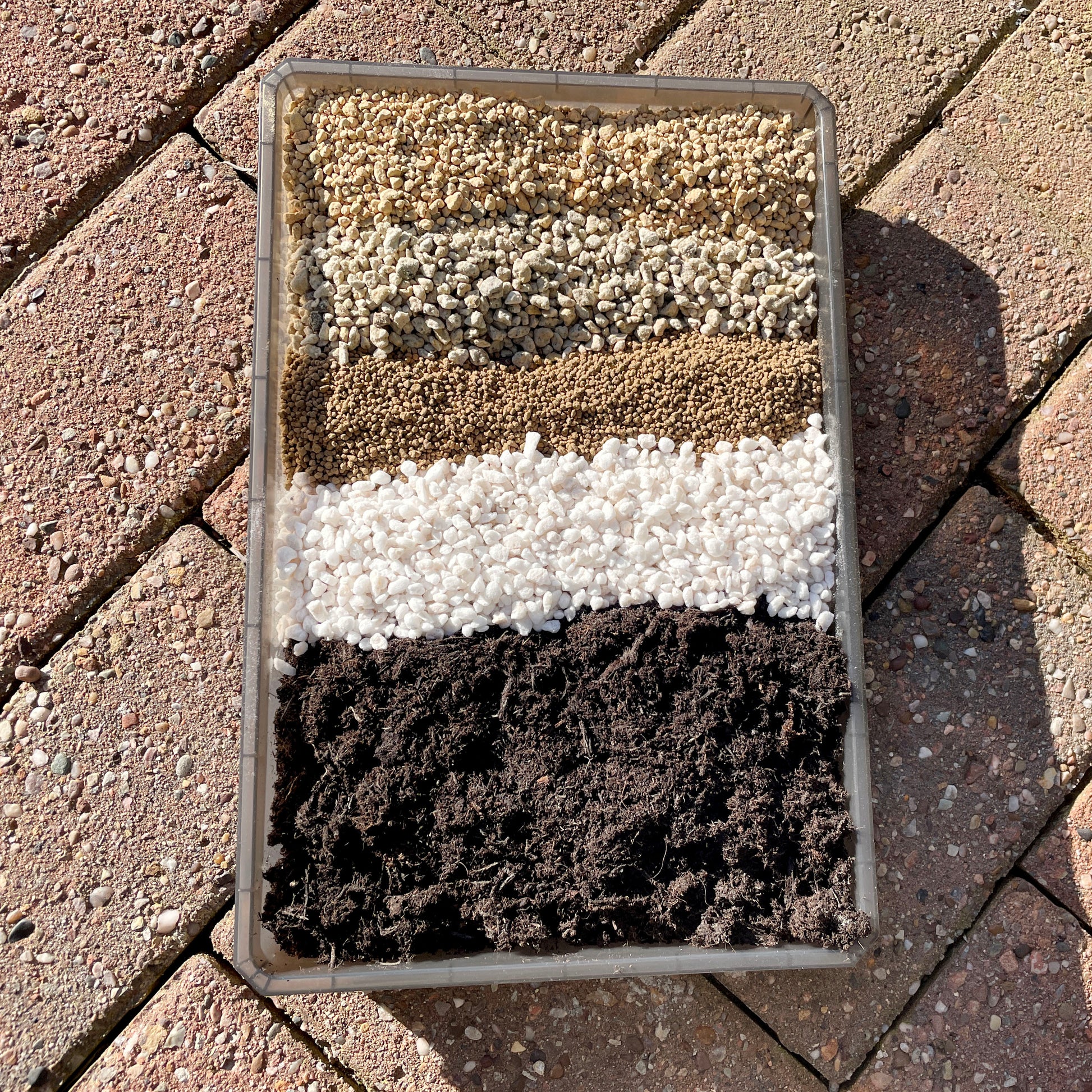 Premium Cactus & Succulent Potting Mix soil for Mature Lithops & Haworthia - 0