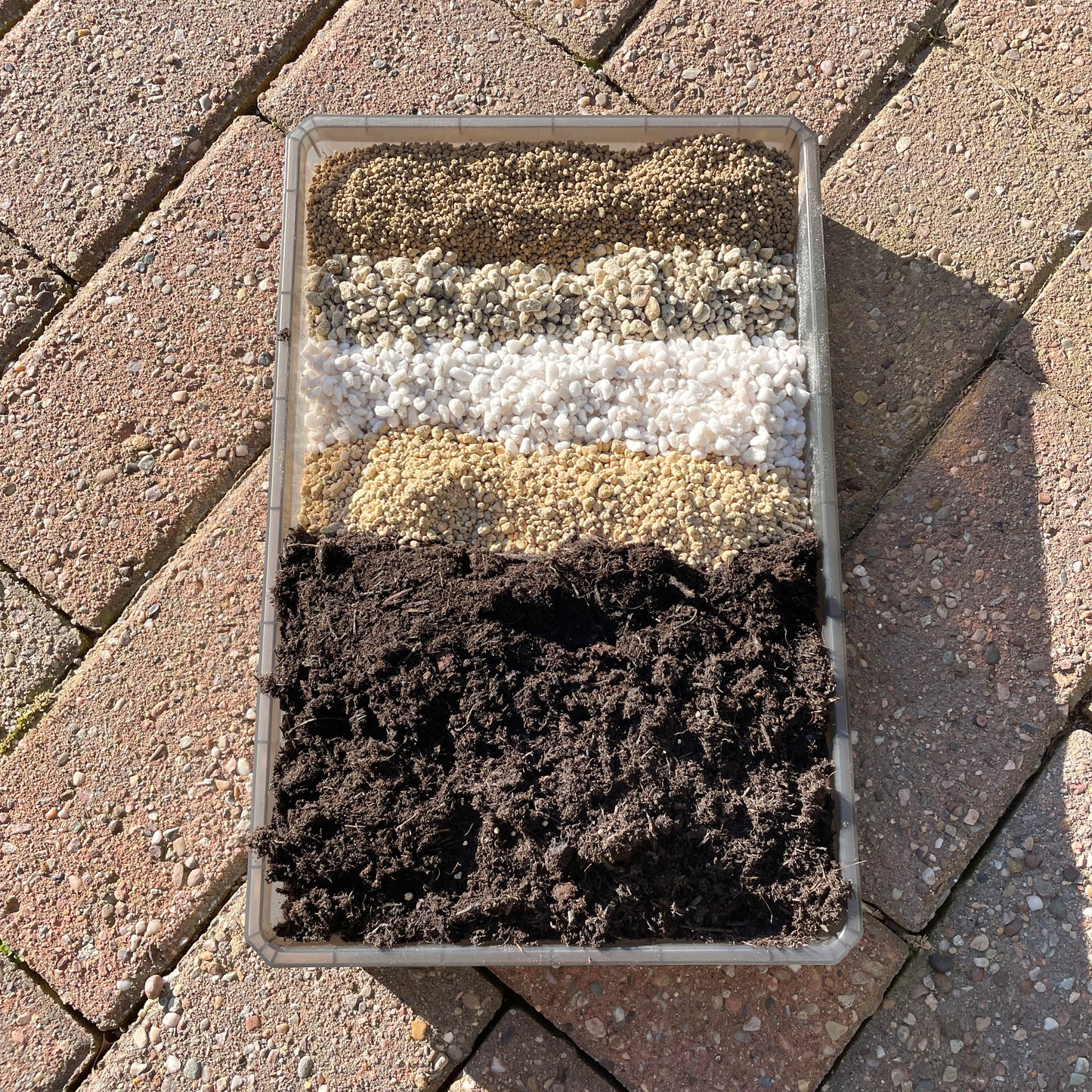 Premium Succulent Seedling Soil Mix - 0