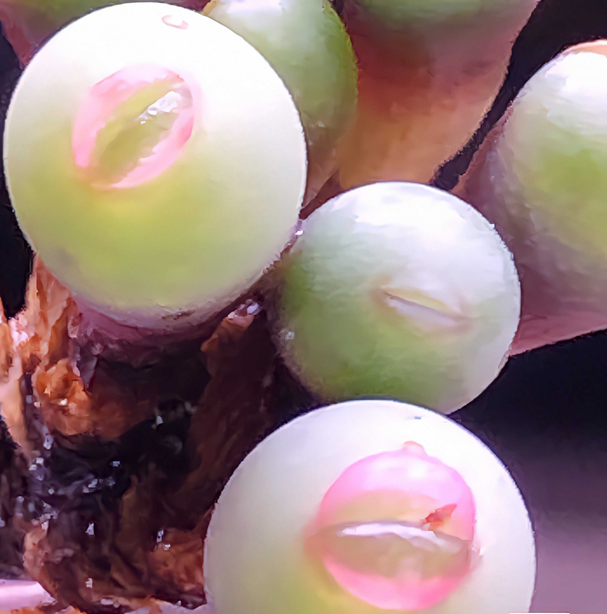 succulent with lips Conophytum Seed, Hyaluronic Lips, Rare Succulent Seeds for Home Growin – Chic Chic Plants